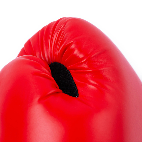 Everlast Pro Style II Boxing Gloves