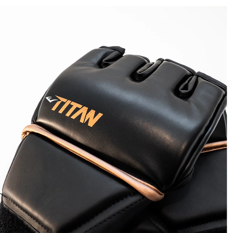Everlast Titan MMA Grappling Gloves
