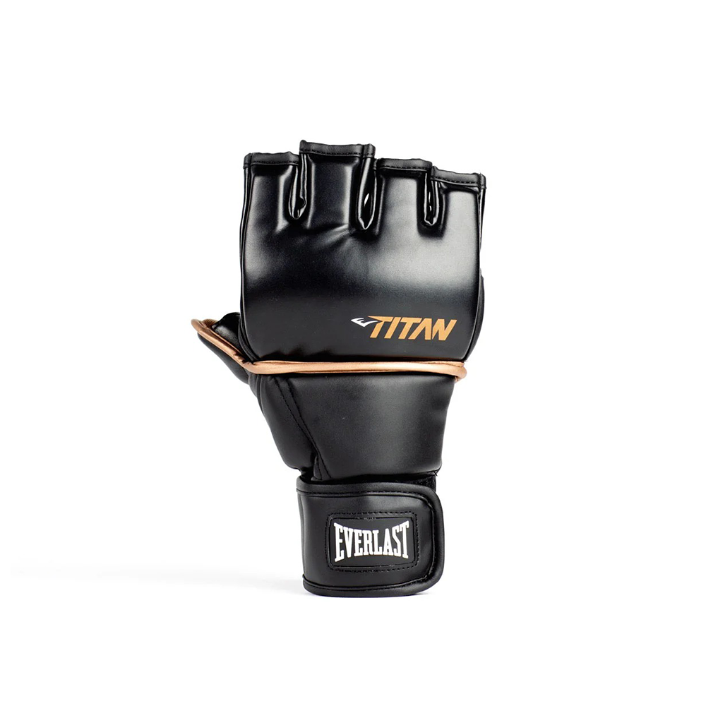 Everlast Titan MMA Grappling Gloves