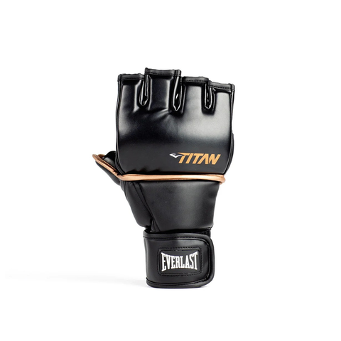 Everlast Titan MMA Grappling Gloves