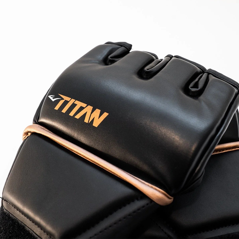 Everlast Titan MMA Grappling Gloves