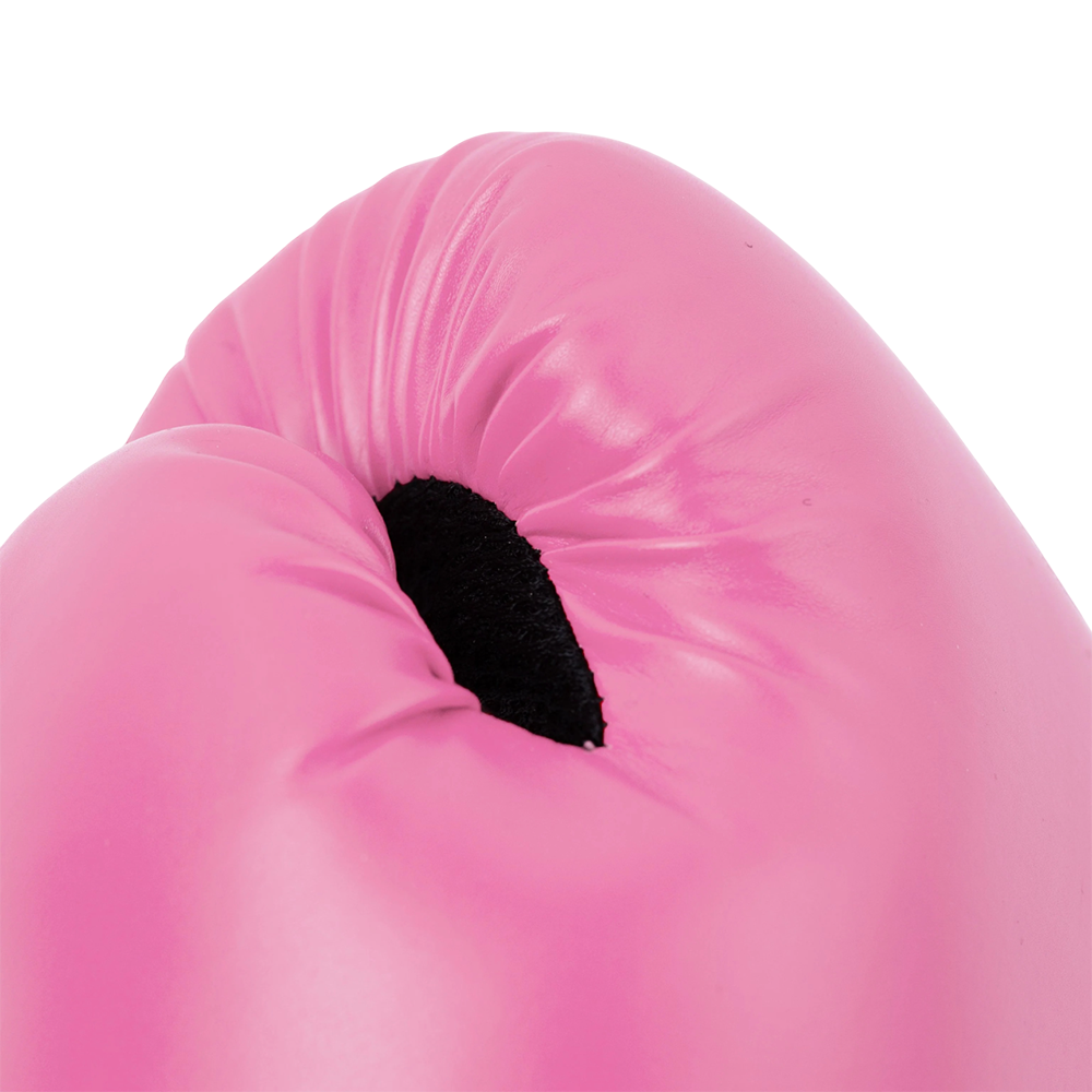 Everlast Pro Style II Boxing Gloves