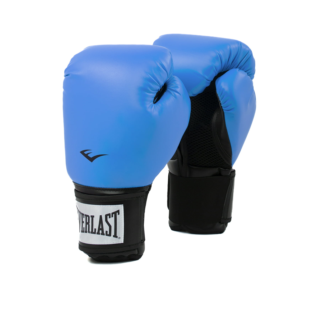 Everlast Pro Style II Boxing Gloves