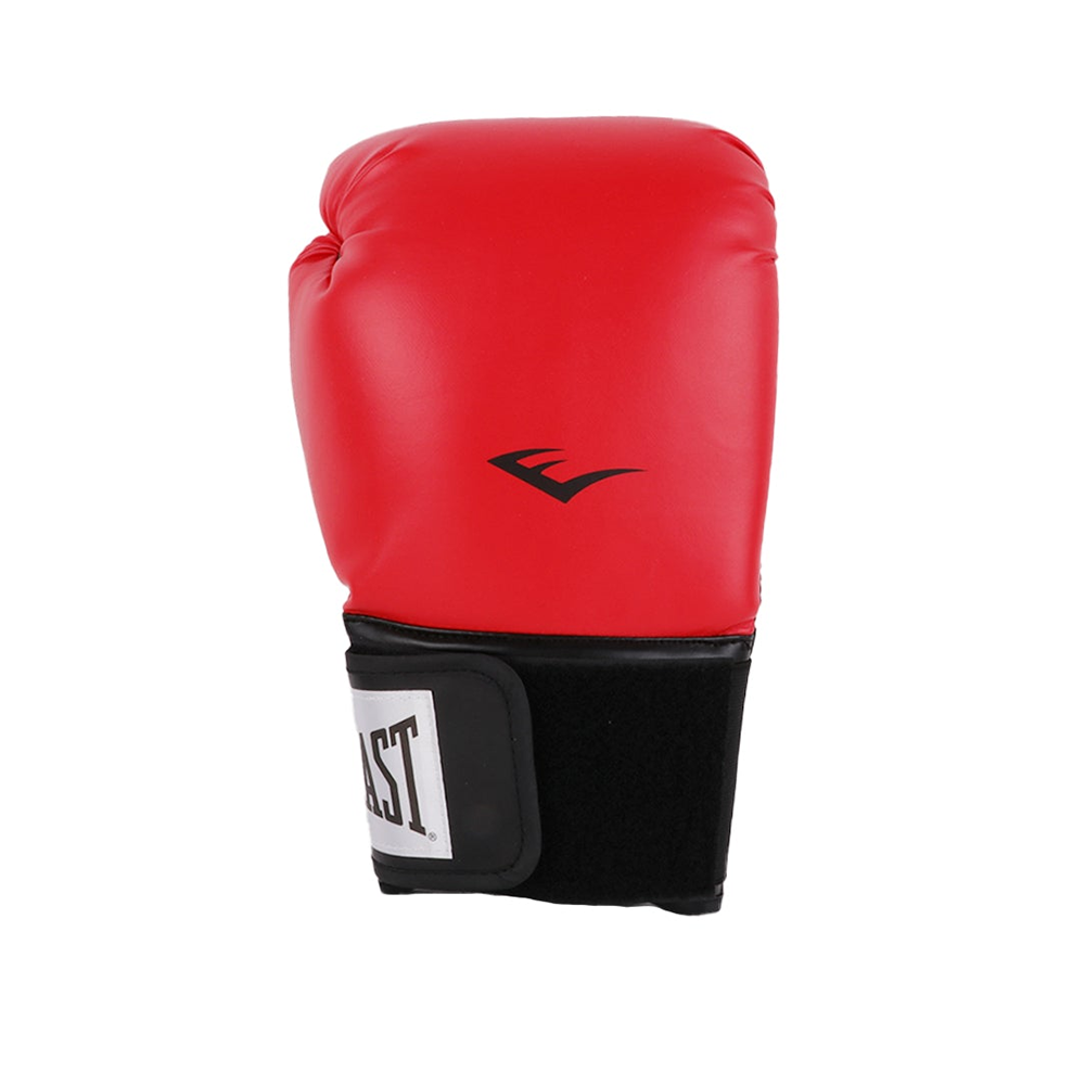 Everlast Pro Style II Boxing Gloves